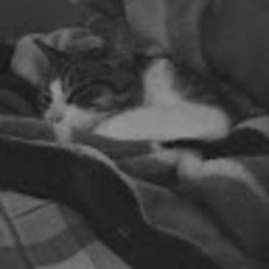 Meet your Posher, Hadia